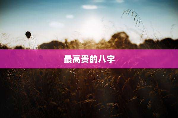最高贵的八字