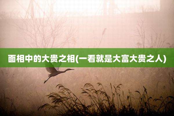 面相中的大贵之相(一看就是大富大贵之人)