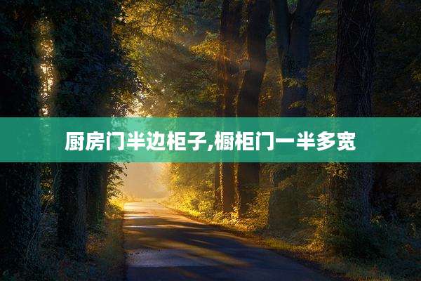 厨房门半边柜子,橱柜门一半多宽