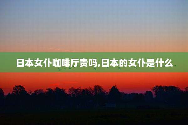 日本女仆咖啡厅贵吗,日本的女仆是什么