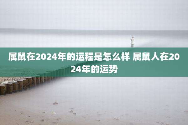 属鼠在2024年的运程是怎么样 属鼠人在2024年的运势
