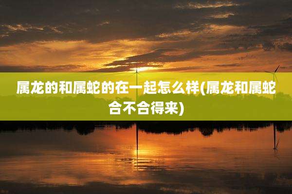 属龙的和属蛇的在一起怎么样(属龙和属蛇合不合得来)
