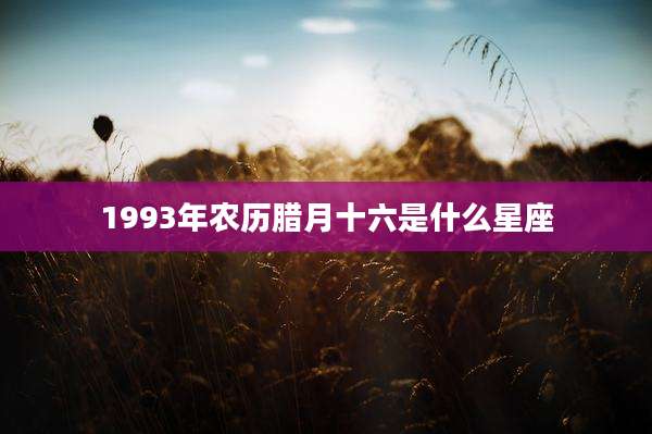 1993年农历腊月十六是什么星座