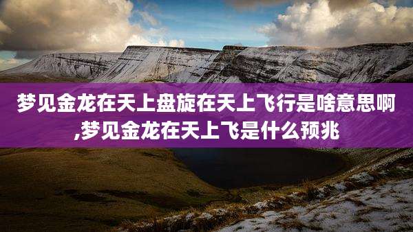 梦见金龙在天上盘旋在天上飞行是啥意思啊,梦见金龙在天上飞是什么预兆