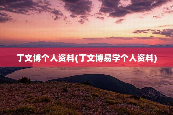 丁文博个人资料(丁文博易学个人资料)