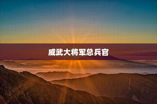 威武大将军总兵官