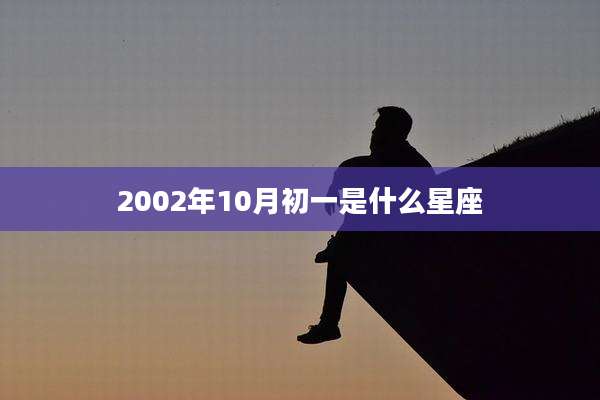 2002年10月初一是什么星座