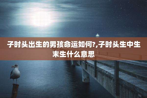 子时头出生的男孩命运如何?,子时头生中生末生什么意思