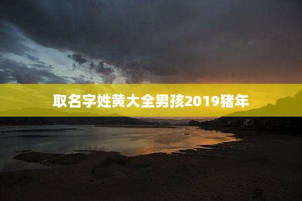 取名字姓黄大全男孩2019猪年