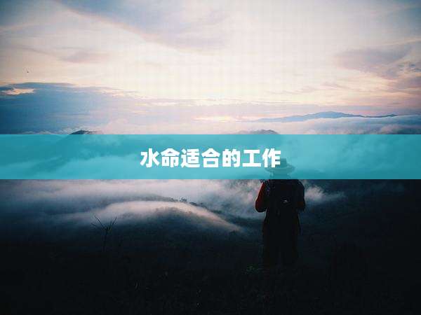 水命适合的工作
