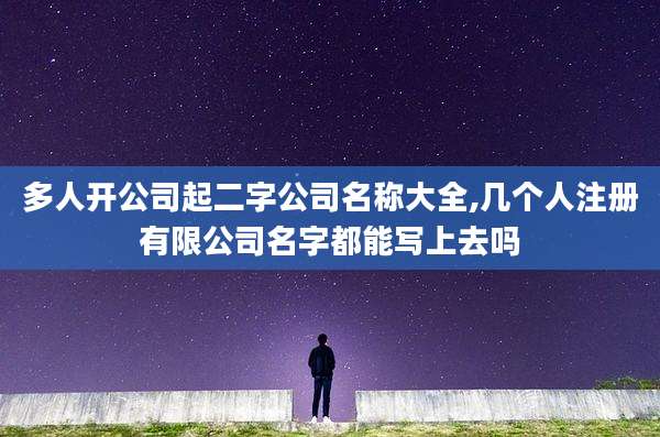 多人开公司起二字公司名称大全,几个人注册有限公司名字都能写上去吗