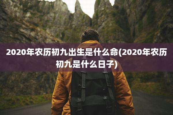 2020年农历初九出生是什么命(2020年农历初九是什么日子)