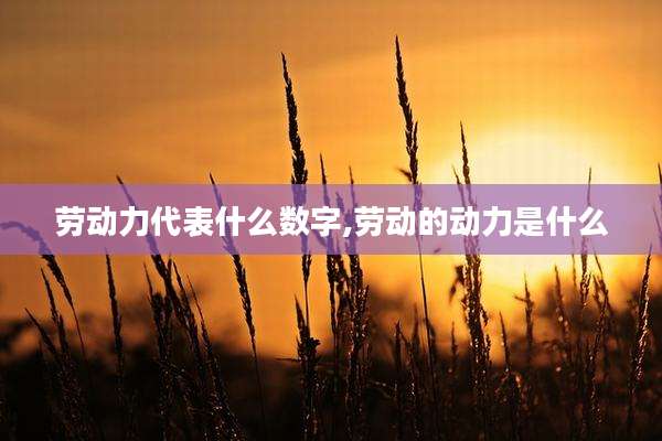 劳动力代表什么数字,劳动的动力是什么