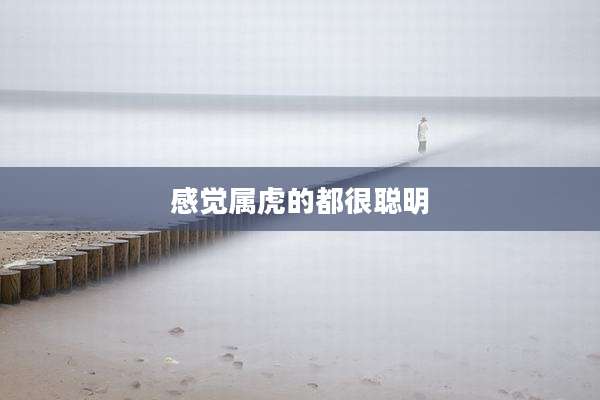 感觉属虎的都很聪明