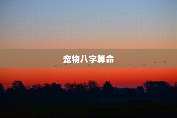 宠物八字算命