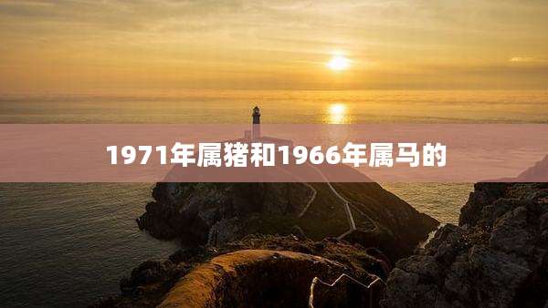 1971年属猪和1966年属马的