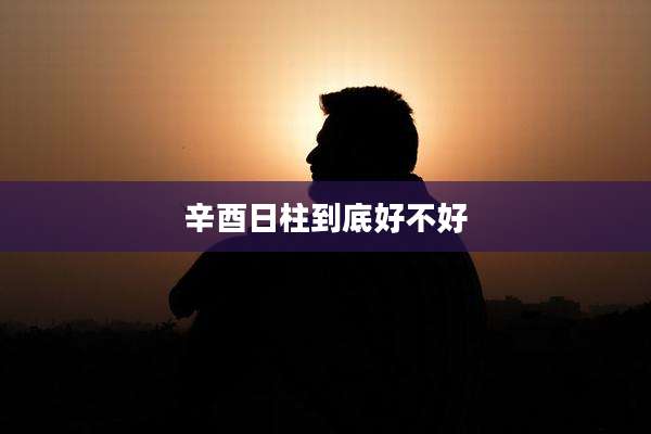 辛酉日柱到底好不好