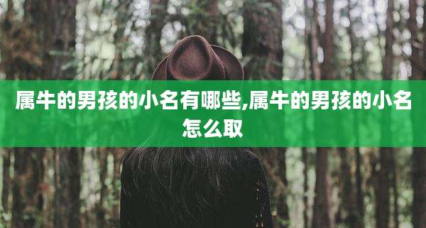 属牛的男孩的小名有哪些,属牛的男孩的小名怎么取
