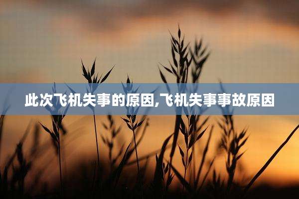 此次飞机失事的原因,飞机失事事故原因