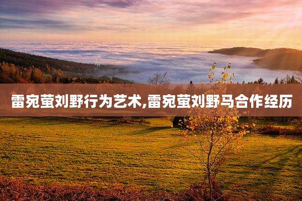 雷宛萤刘野行为艺术,雷宛萤刘野马合作经历