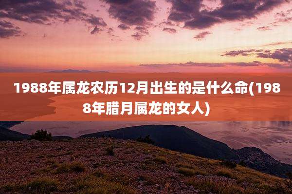 1988年属龙农历12月出生的是什么命(1988年腊月属龙的女人)