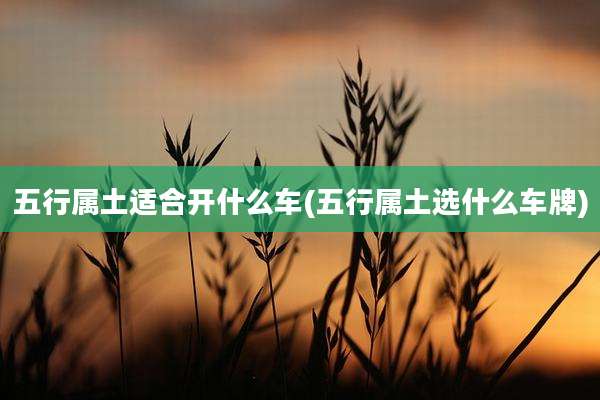 五行属土适合开什么车(五行属土选什么车牌)
