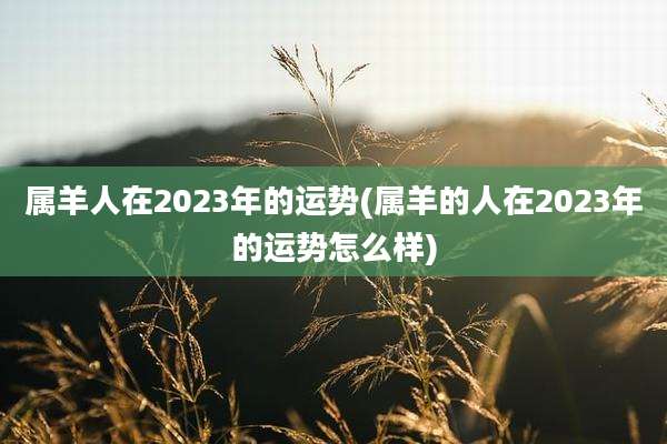 属羊人在2023年的运势(属羊的人在2023年的运势怎么样)
