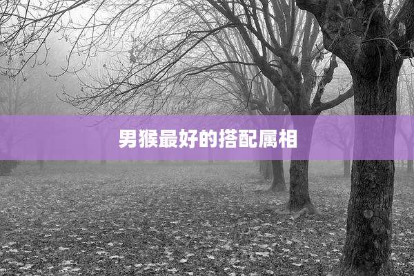 男猴最好的搭配属相