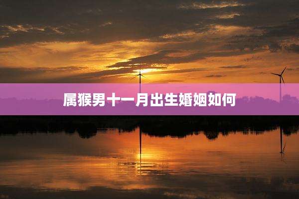 属猴男十一月出生婚姻如何