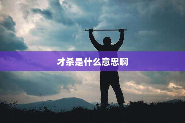 才杀是什么意思啊