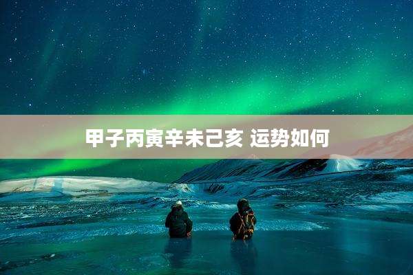 甲子丙寅辛未己亥 运势如何