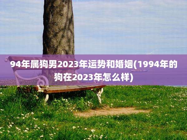 94年属狗男2023年运势和婚姻(1994年的狗在2023年怎么样)