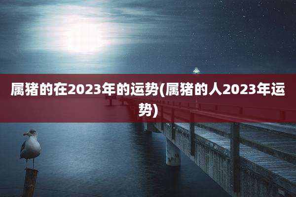 属猪的在2023年的运势(属猪的人2023年运势)