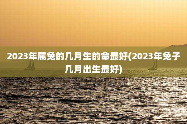 2023年属兔的几月生的命最好(2023年兔子几月出生最好)