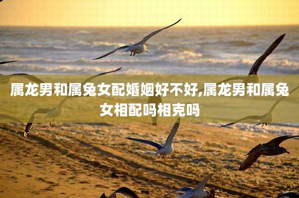 属龙男和属兔女配婚姻好不好,属龙男和属兔女相配吗相克吗