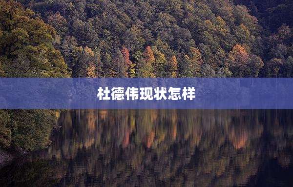 杜德伟现状怎样