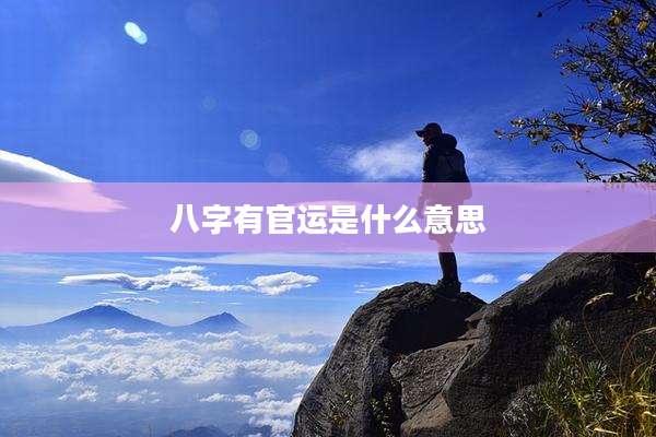 八字有官运是什么意思