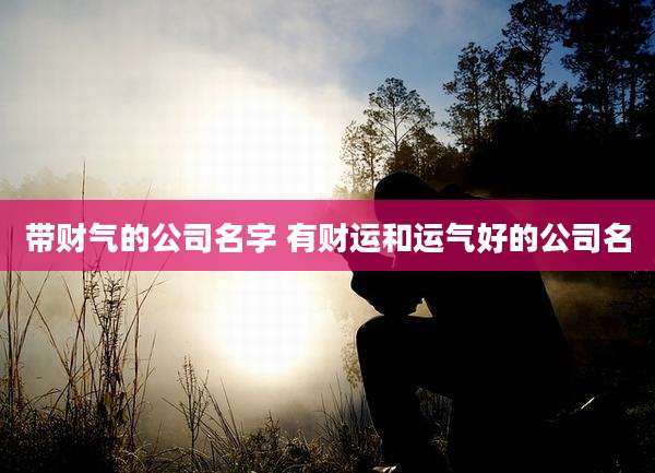 带财气的公司名字 有财运和运气好的公司名