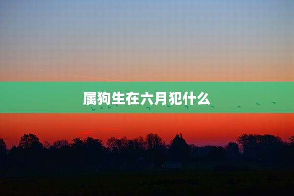 属狗生在六月犯什么