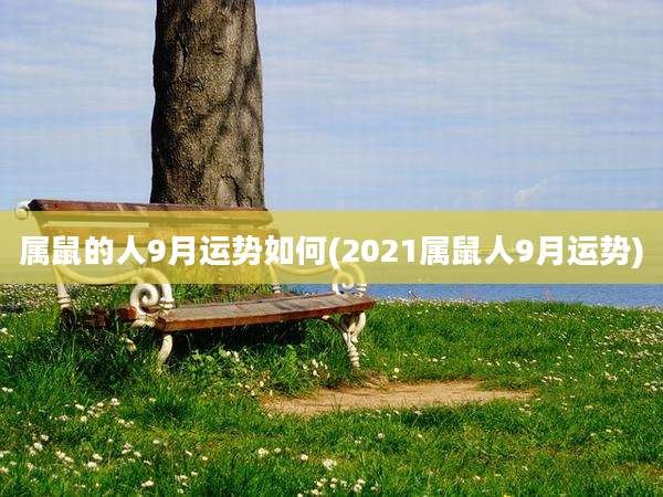 属鼠的人9月运势如何(2021属鼠人9月运势)