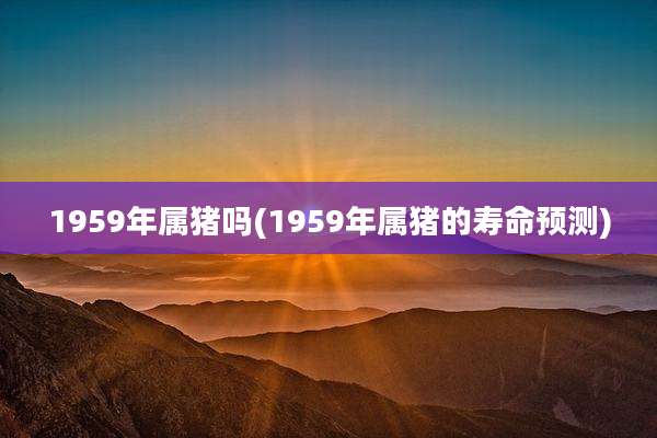 1959年属猪吗(1959年属猪的寿命预测)