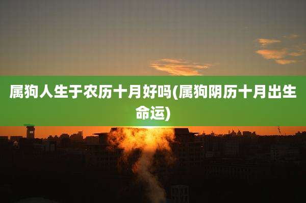 属狗人生于农历十月好吗(属狗阴历十月出生命运)