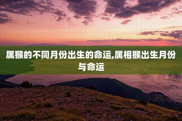 属猴的不同月份出生的命运,属相猴出生月份与命运