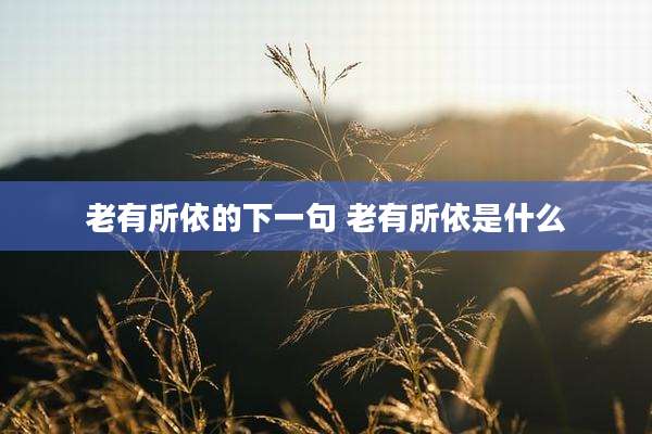 老有所依的下一句 老有所依是什么