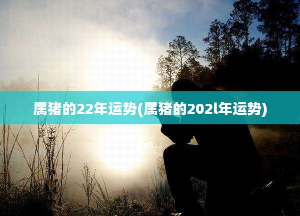 属猪的22年运势(属猪的202l年运势)