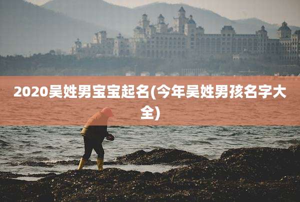 2020吴姓男宝宝起名(今年吴姓男孩名字大全)