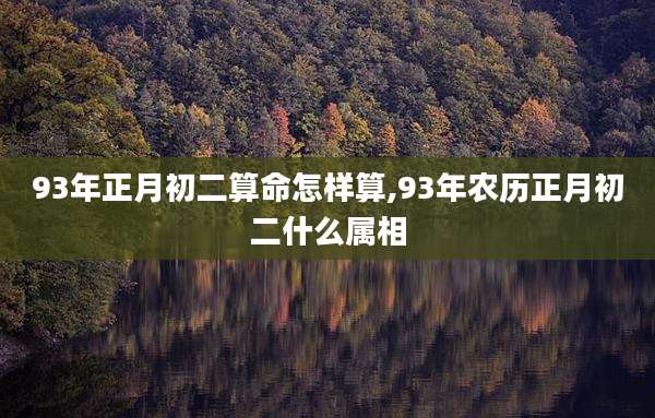 93年正月初二算命怎样算,93年农历正月初二什么属相