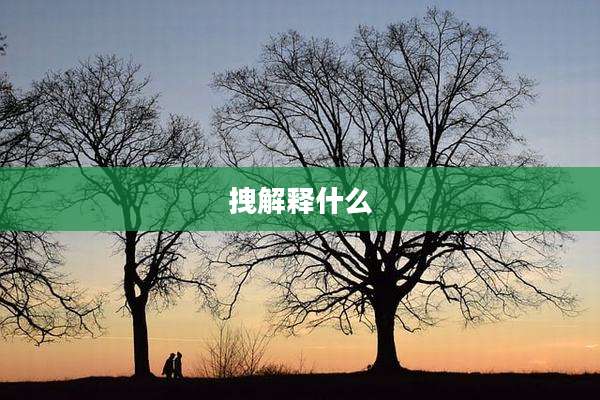 拽解释什么