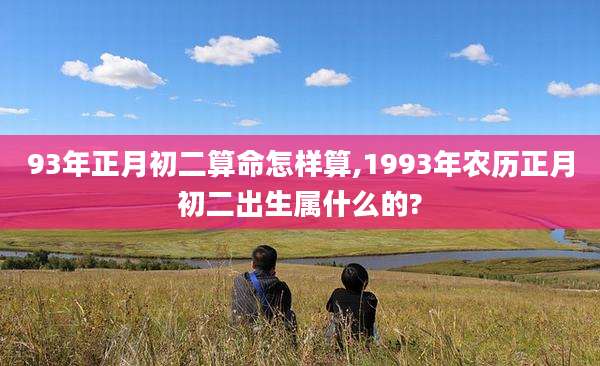 93年正月初二算命怎样算,1993年农历正月初二出生属什么的?