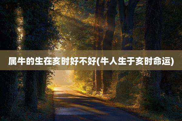 属牛的生在亥时好不好(牛人生于亥时命运)